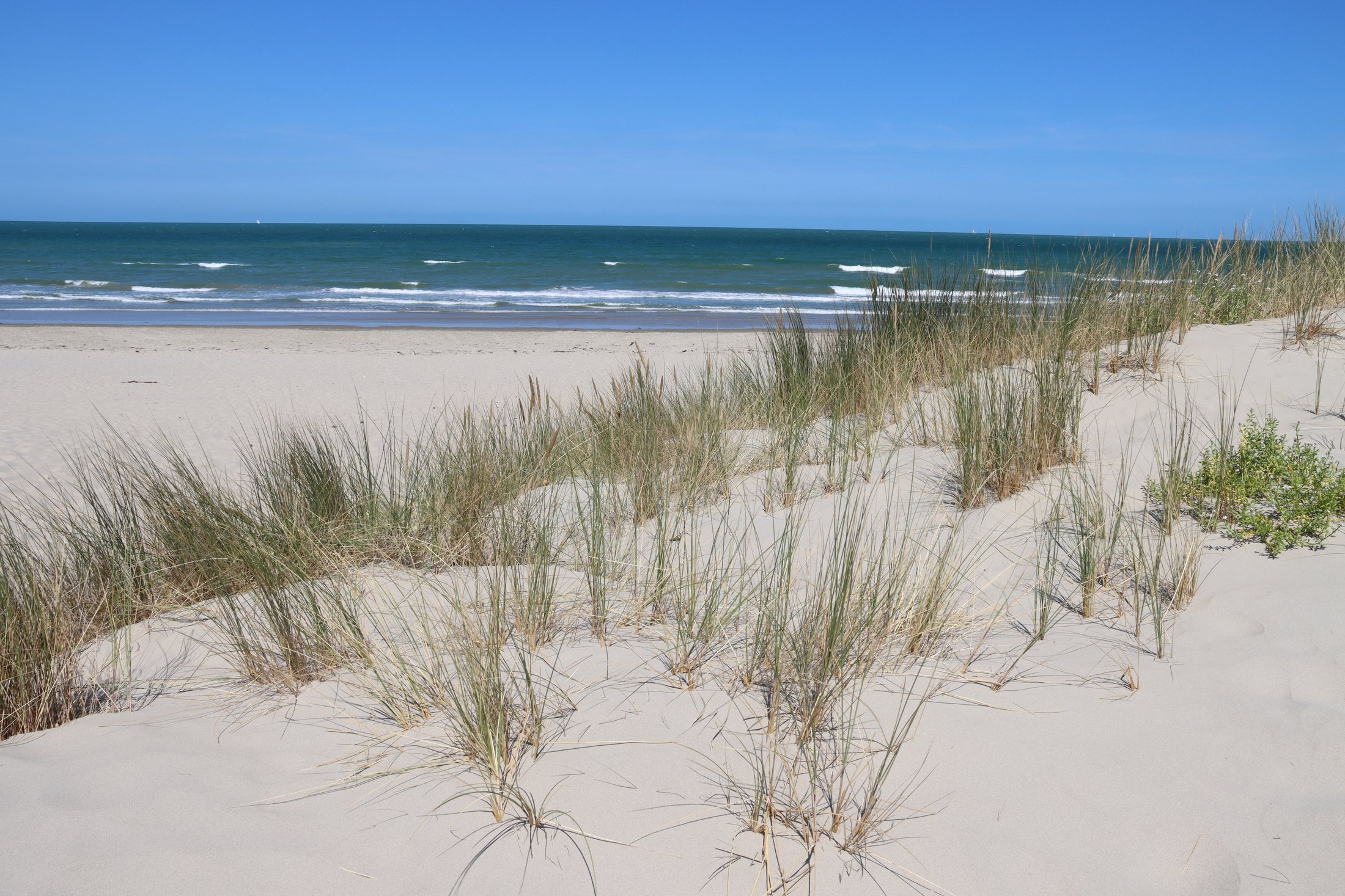 Dunes et oyats jusqu’à la mer à De Panne