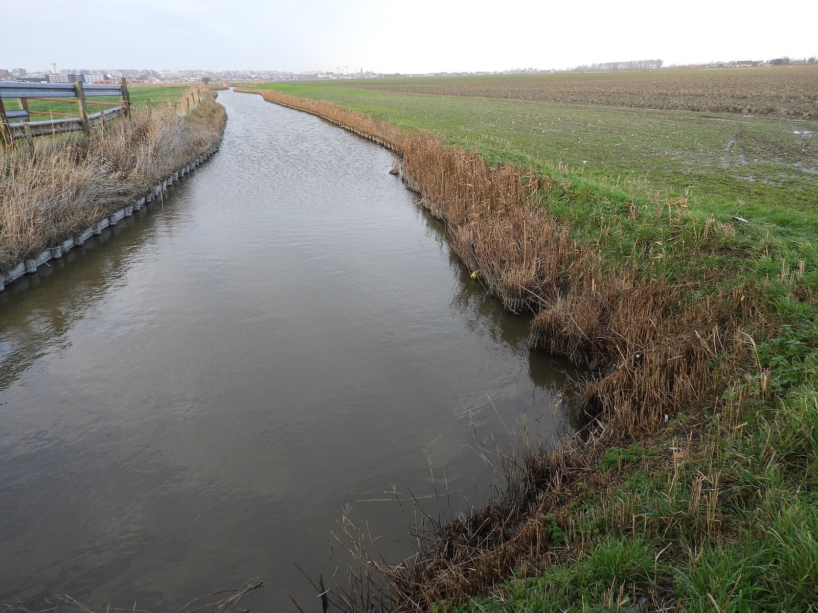 Wat van de Testerepvliet overblijft: de geul van het Groot Geleed. Foto: Hilde Verboven, agentschap Onroerend Erfgoed, CC BY 4.0